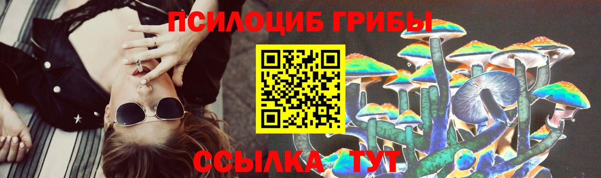 Псилоцибиновые грибы прущие грибы Белебей